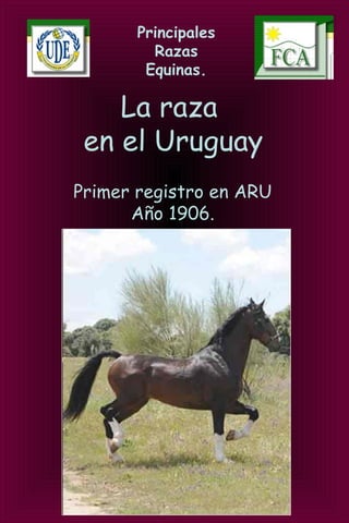 Principales
Razas
Equinas.
La raza
en el Uruguay
Primer registro en ARU
Año 1906.
 