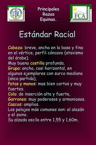 Principales
Razas
Equinas.
Estándar Racial
Cabeza: breve, ancha en la base y fina
en el vértice, perfil cóncavo (atavismo
del árabe).
Muy buena costilla profunda.
Grupa: ancha, casi horizontal, en
algunos ejemplares con surco mediano
(anca partida),
Patas y manos: mas bien cortos y muy
fuertes.
Cola: de inserción alta y fuerte,
Garrones: muy poderosos y armoniosos.
Cascos: amplios.
Los pelajes más comunes son: el alazán
y el zaino.
Su alzada oscila entre 1,55 y 1,60m.
 