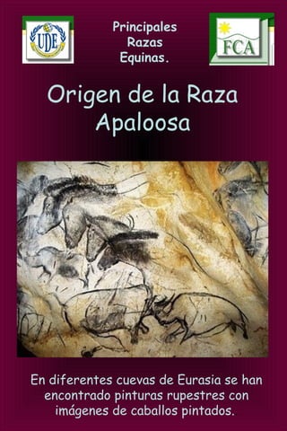 Principales
Razas
Equinas.
Origen de la Raza
Apaloosa
En diferentes cuevas de Eurasia se han
encontrado pinturas rupestres con
imágenes de caballos pintados..
 