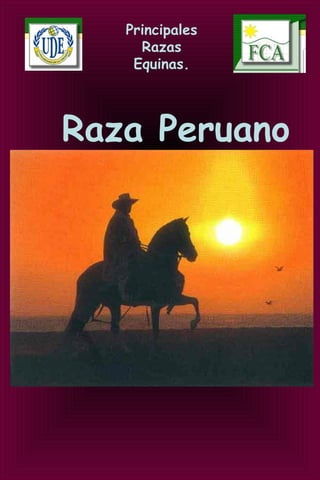 Principales
Razas
Equinas.
Raza Peruano
De Paso.
 