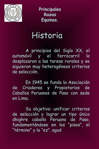 Principales
Razas
Equinas.
Historia
A principios del Siglo XX, el
automóvil y el ferrocarril lo
desplazaron a las tareas rurales y se
siguieron muy heterogéneos criterios
de selección.
En 1945 se funda la Asociación
de Criadores y Propietarios de
Caballos Peruanos de Paso con sede
en Lima.
Su objetivo: unificar criterios
de selección y lograr un tipo único
dkighre caballo Peruano de Paso,
fundamentándose en los “pisos”, el
“término” y la “ez”. agud
 