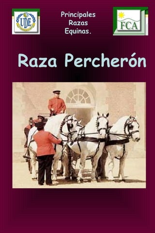 Principales
Razas
Equinas.
Raza Percherón
 