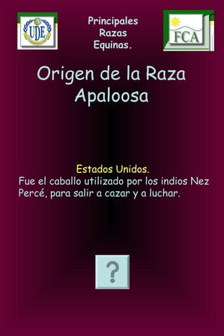 Principales
Razas
Equinas.
Origen de la Raza
Apaloosa
Estados Unidos.
Fue el caballo utilizado por los indios Nez
Percé, para salir a cazar y a luchar..
 