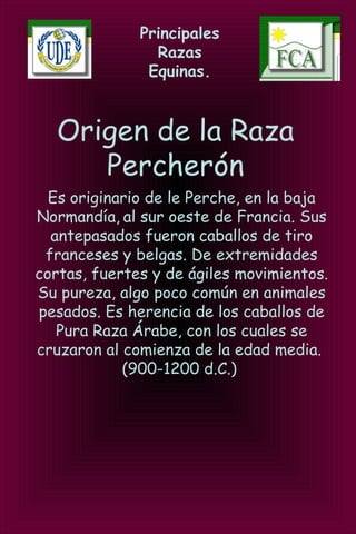Principales
Razas
Equinas.
Origen de la Raza
Percherón
Es originario de le Perche, en la baja
Normandía, al sur oeste de Francia. Sus
antepasados fueron caballos de tiro
franceses y belgas. De extremidades
cortas, fuertes y de ágiles movimientos.
Su pureza, algo poco común en animales
pesados. Es herencia de los caballos de
Pura Raza Árabe, con los cuales se
cruzaron al comienza de la edad media.
(900-1200 d.C.)
 