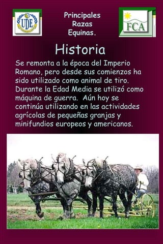 Principales
Razas
Equinas.
Historia
Se remonta a la época del Imperio
Romano, pero desde sus comienzos ha
sido utilizado como animal de tiro.
Durante la Edad Media se utilizó como
máquina de guerra. Aún hoy se
continúa utilizando en las actividades
agrícolas de pequeñas granjas y
minifundios europeos y americanos.
 
