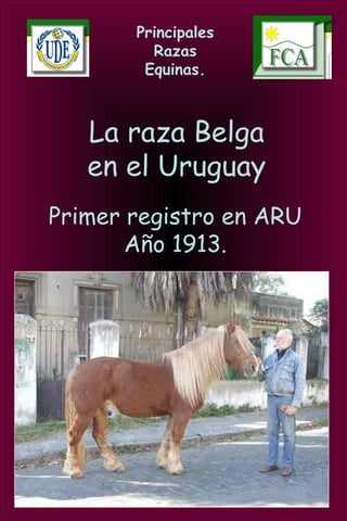 Principales
Razas
Equinas.
La raza Belga
en el Uruguay
Primer registro en ARU
Año 1913.
 