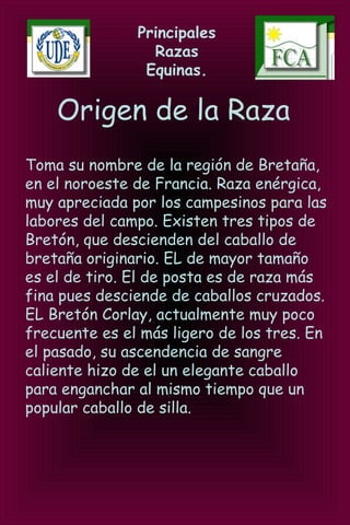 Principales
Razas
Equinas.
Origen de la Raza
Toma su nombre de la región de Bretaña,
en el noroeste de Francia. Raza enérgica,
muy apreciada por los campesinos para las
labores del campo. Existen tres tipos de
Bretón, que descienden del caballo de
bretaña originario. EL de mayor tamaño
es el de tiro. El de posta es de raza más
fina pues desciende de caballos cruzados.
EL Bretón Corlay, actualmente muy poco
frecuente es el más ligero de los tres. En
el pasado, su ascendencia de sangre
caliente hizo de el un elegante caballo
para enganchar al mismo tiempo que un
popular caballo de silla.
 