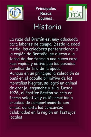 Principales
Razas
Equinas.
Historia
La raza del Bretón es, muy adecuada
para labores de campo. Desde la edad
media, los criadores pertenecieron a
la región de Bretaña, se dieron a la
tarea de dar forma a una nueva raza
mas rápida y activa que los pesados
caballos de tiro de la época.
Aunque en un principio la selección se
basó en el caballo primitivo de las
montañas Negras, se logró un animal
de granja, enganche y silla. Desde
1926, el Postier Bretón se cría en
forma selectiva y está sometido a
pruebas de comportamiento con
arnés, durante los concursos
celebrados en la región en festejos
locales 
 