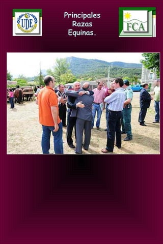 Principales
Razas
Equinas.
 