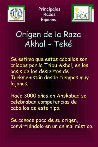 Principales
Razas
Equinas.
Origen de la Raza
Akhal - Teké
Se estima que estos caballos son
criados por la Tribu Akhal, en los
oasis de los desiertos de
Turkmenistán desde tiempos muy
lejanos.
Hace 3000 años en Ahskabad se
celebraban competencias de
caballos de este tipo.
Se conoce poco de su origen,
convirtiéndolo en un animal místico.
 