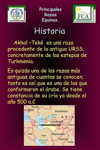 Principales
Razas
Equinas.
Historia
Akhal –Teké es una raza
procedente de la antigua URSS,
concretamente de las estepas de
Turkmenia.
Es quizás una de las razas más
antiguas de cuantas se conocen;
tanto es así que es una de las que
conformaron el árabe. Se tiene
constancia de su cría ya desde el
año 500 a.C.
 
