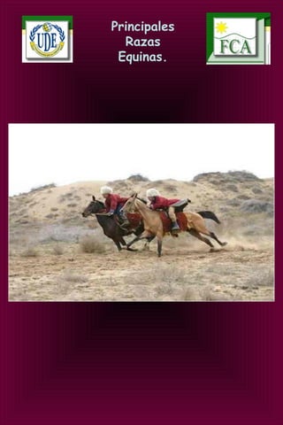 Principales
Razas
Equinas.
 