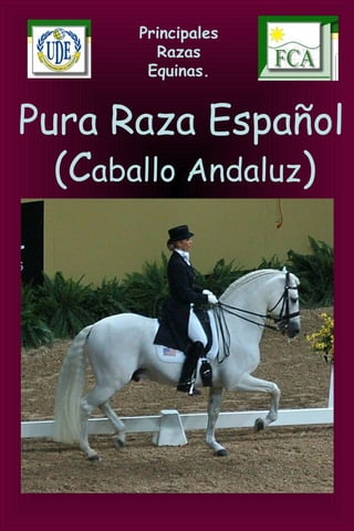 Principales
Razas
Equinas.
Pura Raza Español
(Caballo Andaluz)
 