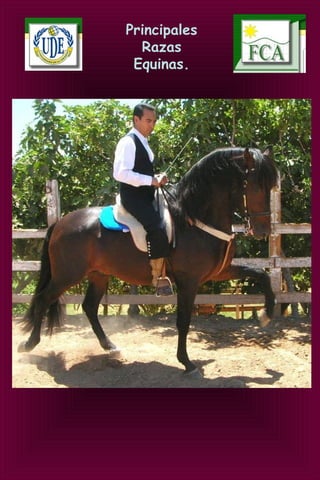 Principales
Razas
Equinas.
 