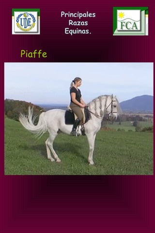 Principales
Razas
Equinas.
Piaffe 
 