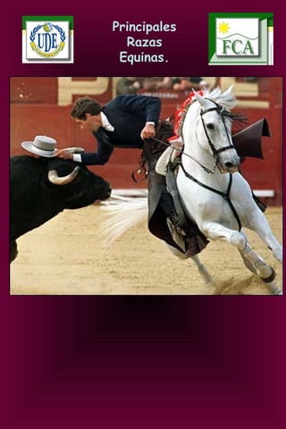 Principales
Razas
Equinas.
 