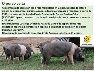 Razas autóctonas galegas | PPS
