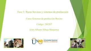 Curso Sistemas de producción Bovino
Código: 201207
Jesús Alberto Sibaja Manjarrez
Fase 1: Razas bovinas y sistemas de producción
 