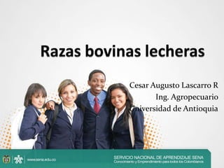 Cesar Augusto Lascarro R
Ing. Agropecuario
Universidad de Antioquia

 