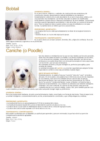 Bobtail APARIENCIA GENERAL:
Es un perro fuerte, simétrico, cuadrado, de construcción muy armoniosa y de
constitución robusta. Absolutamente nada de debilidad en los miembros.
Completamente cubierto de un pelo abundante. Es un perro musculoso, sólido y con
una expresión muy inteligente. Las formas naturales no deben ser modificadas
artificialmente usando tijeras o maquinas esquiladoras. De gran vitalidad, presentando
una línea superior ligeramente ascendiente y, visto de arriba, un cuerpo en forma de
pera. Tiene un balanceo típico cuando camina con paso de ambladura o con paso
normal. Su ladrido tiene un timbre que le es característico.
PROPORCIONES IMPORTANTES :
• La longitud del hocico mide aproximadamente la mitad de la longitud total de la
cabeza,
• Estando de pie, la cruz es más baja que la grupa.
TEMPERAMENTO / COMPORTAMIENTO :
Es un perro dócil con un buen carácter. Atrevido, fiel, y digno de confianza. No es de
modo alguno temeroso o agresivo si no es provocado.
Tamaño: gigante
Peso: Entre 30 Kg y 40 Kg
Origen: United Kingdom
Caniche (o Poodle)
Son muy alegres e inteligentes por lo que son muy rápidos a la hora de aprender.
Están muy vinculados al dueño y su familia y no tienen problemas con los niños,
ni con otros perros y animales. Anuncian las visitas ladrando. Son perros muy
jerárquicos y se suelen llevar bien con otros perros excepto en raros casos como
con los terrier, que son poco jerárquicos.
Muy apegados al dueño y de gran inteligencia, perfectos para agility y para
pruebas de trabajo.
La variedad de pelajes del caniche y su enorme capacidad para adoptar formas
especiales le confiere a esta raza una belleza todavía mayor.
BREVE RESUMEN HISTÓRICO :
Etimológicamente, la palabra francesa “caniche” viene de “cane”, la hembra
del pato. En otros países, esta palabra hace referencia a la acción de chapotear.
En sus orígenes, este perro era utilizado para la caza de aves acuáticas.
Desciende del Barbet, del cual conserva muchas características. En 1743 se
decía “la caniche”: hembra del Barbet. Luego, el Barbet y el Caniche iban a
separarse progresivamente. Los criadores se esforzaron por obtener ejemplares
originales y de color uniforme. El caniche se hizo popular como perro de
compañía gracias a su carácter amable, jovial y fiel, pero también gracias a sus
cuatro tamaños y a sus diferentes colores, que cada cual puede escoger según su preferencia.
APARIENCIA GENERAL :
Perro de proporciones medianas, de pelo característicamente rizado, ensortijado o en forma de mechones. Tiene el aspecto de
un animal inteligente, constantemente alerta, activo, armoniosamente constituído, y que refleja elegancia y nobleza.
PROPORCIONES IMPORTANTES:
• La longitud del hocico es aproximadamente 9/10 de la longitud del cráneo.
• La longitud (escápulo-isquial) del cuerpo es ligeramente superior a la altura a la cruz.
• La altura de la cruz al suelo es visiblemente igual a la altura de la cresta de la grupa al suelo.
• La altura del codo al suelo equivale a 5/9 de la altura a la cruz.
TEMPERAMENTO / COMPORTAMIENTO:
Este animal se distingue por su fidelidad y su aptitud para aprender y para ser entrenado, lo que hace de él un perro de
compañía particularmente agradable.
Tamaño: mediano
Peso: Entre 5 Kg y 30 Kg
Origen: France
 