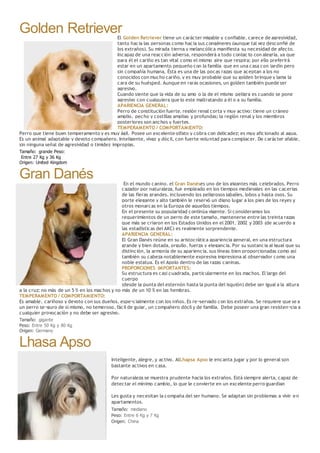 Golden RetrieverEl Golden Retriever tiene un carácter migable y confiable, carece de agresividad,
tanto hacia las personas como hacia sus congéneres (aunque tal vez desconfié de
los extraños). Su mirada tierna y melancólica manifiesta su necesidad de afecto.
Incapaz de una reacción adversa, responderá a todo contac to con alegría, ya que
para él el cariño es tan vital como el mismo aire que respira; por ello preferirá
estar en un apartamento pequeño con la família que en una casa con jardín pero
sin compañía humana. Ésta es una de las pocas razas que aceptan a los no
conocidos con mucho cariño, y es muy probable que su golden brinque y lama la
cara de su huésped. Aunque en raras ocasiones, un golden también puede ser
agresivo.
Cuando siente que la vida de su amo o la de el mismo peligra es cuando se pone
agresivo con cualquiera que lo este maltratando a él o a su família.
APARIENCIA GENERAL:
Perro de constitución fuerte, región renal corta y muy activo; tiene un cráneo
amplio, pecho y costillas amplias y profundas; la región renal y los miembros
posteriores son anchos y fuertes.
TEMPERAMENTO / COMPORTAMIENTO:
Perro que tiene buen temperamento y es muy ágil. Posee un excelente olfato y cobra con delicadez; es muy aficionado al agua.
Es un animal adaptable y devoto compañero. Inteligente, vivaz y dócil, con fuerte voluntad para complacer. De carácter afable,
sin ninguna señal de agresividad o timidez impropias.
Tamaño: grande Peso:
Entre 27 Kg y 36 Kg
Origen: United Kingdom
Gran Danés En el mundo canino, el Gran Danéses uno de los gigantes más celebrados. Perro
cazador por naturaleza, fue empleado en los tiempos medievales en las cacerías
de las fieras grandes, incluyendo los peligrosos jabalíes, lobos y hasta osos. Su
porte elegante y alto también le reservó un digno lugar a los pies de los reyes y
otros monarcas en la Europa de aquellos tiempos.
En el presente su popularidad continúa vigente. Si consideramos los
requerimientos de un perro de este tamaño, mantenerse entre las treinta razas
que más se criaron en los Estados Unidos en el 2001, 2002 y 2003 (de acuerdo a
las estadísticas del AKC) es realmente sorprendente.
APARIENCIA GENERAL:
El Gran Danés reúne en su aristocrática apariencia general, en una estructura
grande y bien dotada, orgullo, fuerza y elegancia. Por su sustancia al igual que su
distinción, la armonía de su apariencia, sus líneas bien proporcionadas como así
también su cabeza notablemente expresiva impresiona al observador como una
noble estatua. Es el Apolo dentro de las razas caninas.
PROPORCIONES IMPORTANTES:
Su estructura es casi cuadrada, particularmente en los machos. El largo del
cuerpo
(desde la punta del esternón hasta la punta del isquión) debe ser igual a la altura
a la cruz; no más de un 5 % en los machos y no más de un 10 % en las hembras.
TEMPERAMENTO / COMPORTAMIENTO:
Es amable, cariñoso y devoto con sus dueños, espe¬cialmente con los niños. Es re¬servado con los extraños. Se requiere que se a
un perro se¬guro de si mismo, no temeroso, fácil de guiar, un compañero dócil y de familia. Debe poseer una gran resisten¬cia a
cualquier provocación y no debe ser agresivo.
Tamaño: gigante
Peso: Entre 50 Kg y 80 Kg
Origen: Germany
Lhasa Apso
Inteligente, alegre, y activo. AlLhapsa Apso le encanta jugar y por lo general son
bastante activos en casa.
Por naturaleza se muestra prudente hacia los extraños. Está siempre alerta, capaz de
detectar el mínimo cambio, lo que le convierte en un excelente perro guardian
Les gusta y necesitan la compaña del ser humano. Se adaptan sin problemas a vivir en
apartamentos.
Tamaño: mediano
Peso: Entre 6 Kg y 7 Kg
Origen: China
 