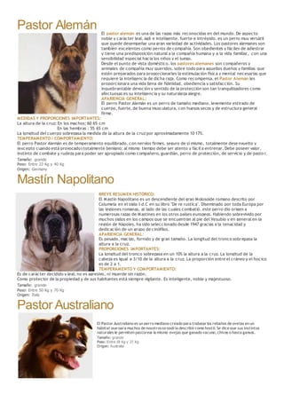 Pastor Alemán El pastor alemán es una de las razas más reconocidas en del mundo. De aspecto
noble y carácter leal, ágil e inteligente, fuerte e intrépido, es un perro muy versátil
que puede desempeñar una gran variedad de actividades. Los pastores alemanes son
también excelentes como perros de compañía. Son obedientes y fáciles de adiestrar
y tiene una predisposición natural a la compañía humana y a la vida familiar, con una
sensibilidad especial hacia los niños y el juego.
Desde el punto de vista doméstico, los pastores alemanes son compañeros y
animales de compañía muy queridos, sobre todo para aquellos dueños y familias que
estén preparados para proporcionarles la estimulación física y mental necesarias que
requiere la inteligencia de dicha raza. Como recompensa, el Pastor Alemán les
proporcionara una vida llena de fidelidad, obediencia y satisfacción. Su
inquebrantable devoción y sentido de la protección son tan tranquilizadores como
afectuosas es su inteligencia y su naturaleza alegre.
APARIENCIA GENERAL:
El perro Pastor Alemán es un perro de tamaño mediano, levemente estirado de
cuerpo, fuerte, de buena musculatura, con huesos secos y de estructura general
firme.
MEDIDAS Y PROPORCIONES IMPORTANTES:
La altura de la cruz: En los machos: 60 65 cm
En las hembras : 55 65 cm
La longitud del cuerpo sobrepasa la medida de la altura de la cruz por aproximadamente 10 17%.
TEMPERAMENTO / COMPORTAMIENTO:
El perro Pastor Alemán es de temperamento equilibrado, con nervios firmes, seguro de sí mismo, totalmente dese nvuelto y
(excepto cuando está provocado) totalmente benigno; al mismo tiempo debe ser atento y fácil a entrenar. Debe poseer valor,
instinto de combate y rudeza para poder ser apropiado como compañero, guardián, perro de protección, de servicio y de pasto r.
Tamaño: grande
Peso: Entre 22 Kg y 40 Kg
Origen: Germany
Mastín Napolitano
BREVE RESUMEN HISTÓRICO:
El Mastín Napolitano es un descendiente del gran Molosoide romano descrito por
Columela en el siglo I d.C en su libro "De re rustica". Diseminado por toda Europa por
las legiones romanas, al lado de las cuales combatió, este perro dio origen a
numerosas razas de Mastines en los otros países europeos. Habiendo sobrevivido por
muchos siglos en los campos que se encuentran al pie del Vesubio y en general en la
región de Nápoles, ha sido seleccionado desde 1947 gracias a la tenacidad y
dedicación de un grupo de cinófilos.
APARIENCIA GENERAL:
Es pesado, macizo, fornido y de gran tamaño. La longitud del tronco sobrepasa la
altura a la cruz.
PROPORCIONES IMPORTANTES:
La longitud del tronco sobrepasa en un 10% la altura a la cruz. La longitud de la
cabeza es igual a 3/10 de la altura a la cruz. La proporción entre el cráneo y el hocico
es de 2 a 1.
TEMPERAMENTO Y COMPORTAMIENTO:
Es de carácter decidido y leal; no es agresivo, ni muerde sin razón.
Como protector de la propiedad y de sus habitantes está siempre vigilante. Es inteligente, noble y majestuoso.
Tamaño: grande
Peso: Entre 50 Kg y 70 Kg
Origen: Italy
Pastor Australiano
El Pastor Australiano es un perro mediano creado para trabajar los rebaños de ovejas en un
hábitat que para muchos de nosotrosse podría describir como hostil. Se dice que sus instintos
naturales le permiten pastorear lo mismo ovejas que ganado vacuno, chivas o hasta gansos.
Tamaño: grande
Peso: Entre 18 Kg y 27 Kg
Origen: Australia
 