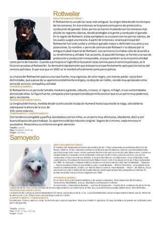 RottweilerBREVE RESUMEN HISTÓRICO :
El Rottweileresunade las razas másantiguas.Su origendatadesde lostiempos
de losromanos.En ése entoncesse le poseíacomoperro de proteccióny
conducciónde ganado.Estos perrosse fueronmudandoconlosromanosmás
alláde las regionesalpinas, donde protegíanala gente yconducían el ganado.
En la regiónde Rottweil,éstosejemplaresse cruzaronconlosperrosnativos,de
loscualessurgióunamezcla.A partirde entonces,latareaprincipal del
Rottweilerfue lade cuidary conducirganado mayory defenderasuamo y sus
posesiones.Sunombre:« perrode carnicerode Rottweil » loobtuvopor la
antiguaciudadimperial de Rottweil.Loscarniceroslocriabansólode acuerdoa
su rendimientoyutilidad.Fue asícomo,al pasodel tiempo,se formóunaraza de
protecciónyconduccióninmejorable,alaque tambiénse le encontróutilidad
como perrode tracción. Cuandoa principiosel sigloXXse buscaronrazascaninaspara el serviciopolicíaco,se le
hicieronpruebasal Rottweiler.Se demostrórápidamente que ésteperroeraperfectamente aptoparalastareasdel
serviciopolicíaco.Espor esoque en1910 se le nombróoficialmentecomoperropolicía.
La crianzadel Rottweileraspiraauna raza fuerte,muyvigorosa,de colornegro,conmarcas pardo-rojizobien
delimitadas,que apesarde su aparienciatotalmenteenérgica,nodejade sernoble,siendomuyapropiadocomo
perrode servicio,compañíayutilidad.
APARIENCIA GENERAL:
El Rottweileresunperrode tamaño medianoagrande,robusto,ni tosco,ni ligero,ni frágil,ni conextremidades
demasiadoaltas.Sufigurafuerte,compactaybienproporcionadapermiteconcluirque esunperromuypoderoso,
ágil y resistente.
PROPORCIONES IMPORTANTES:
La longituddel tronco,medidadesde laarticulaciónescápulo-humeral hastalapuntade la nalga,sólodebería
sobrepasarlaaltura de la cruz de
15% comomáximo.
TEMPERAMENTO / COMPORTAMIENTO:
Con tendenciaamigable ypacífica,bondadosoconlosniños,esunperromuy afectuoso,obediente,dócil ycon
buenadisposiciónparatrabajar.Su aparienciadelatarobustezoriginal.Segurode símismo,nadanerviosoni
asustadizo.Reaccionaasu entornocongran atención.
Tamaño: grande
Peso: Alrededor de 40 Kg
Origen: Germany
Samoyedo
BREVE RESUMEN HISTÓRICO:
El nombre del Samoyedo proviene del nombre de las tribus samoyedasprocedentesdelnorte de
Rusia y Siberia. En las regiones sureñas se utilizaron perros blancos, negros y pardosabigarrados
para pastorear a los renos; en las regiones delnorte los perros eran de color blanco puro, tenían un
temperamento tranquilo y eran utilizados como perrosde trineo y para la cacería. Los perros
samoyedos vivían cercade sus dueños, e incluso dormían en sus albergues y eran utilizados como
calentadores. El zoólogo británicoErnest Kilburn Scott vivió tresmeses entre las tribus samoyedas
en 1889. Al regresar a Inglaterra llevó consigo un cachorro macho color marrón llamado « Sabarka
». Posteriormente importó una hembra color crema llamada « Whitey Petchora » procedente de la
región occidentalde los Urales y un macho blanco como la nieve llamado « Musti » de Siberia. Estos
pocos perros y los traídos por los exploradores constituyen la base del samoyedo occidental. El
primer estándar fue escrito en Inglaterraen 1909.
APARIENCIA GENERAL:
Es un Spitz Ártico de tamaño mediano y de aspecto elegante. Da la impresión de fortaleza,
resistencia, flexibilidad, gracia, dignidad y confianzaen sí mismo.
Su expresión, comúnmente llamada « sonrisa de Samoyedo » resulta de la combinación de la forma
y posición de los ojos con los ángulos de la boca ligeramente curvadoshacia arriba. Sus característicassexuales deben estar bien definidas.
PROPORCIONES IMPORTANTES:
La longitud del cuerpo es aproximadamente 5% mayor que la altura de la cruz. La profundidad delcuerpo es ligeramente menor que la mitad de
la altura a la cruz. Elhocico es casi tan largo como el cráneo.
COMPORTAMIENTO / TEMPERAMENTO:
Es amistoso, franco, alerta y vivaz. Su instinto por cazar es muy leve. Nunca es tímido ni agresivo. Es muy sociable y no puede ser utilizado como
perro de guardia.
Tamaño: grande
Peso: Entre 17 Kg y 32.5 Kg
Origen: Russia
 