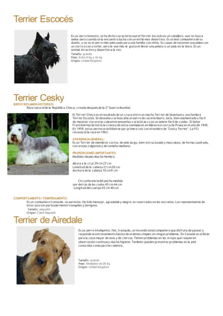 Terrier Escocés
Es un perro honesto, se ha dicho con acierto que el Terrier escocéses un caballero, que no busca
pelea pero cuando se la encuentra lucha con un estilo muy deportivo. Es un leal compañero de su
dueño, y no es el perro más adecuado para una familia con niños. Es capaz de sostener una pelea con
un zorro o con u tejón, pero lo que más le gusta es llevar una pelota o un palo en la boca. Es un
animal atractivo y deportivo a la vez.
Tamaño: grande
Peso: Entre 8 Kg y 10 Kg
Origen: United Kingdom
Terrier CeskyBREVE RESUMEN HISTÓRICO:
Raza naturalde la República Checa, creada despuésde la 2ª Guerra Mundial.
El Terrier Checo es elresultado de un cruce entre un macho Terrier de Sealyhamy una hembra
Terrier Escocés. Se deseaba y se buscaba un perro de cacería ligero, bajo, bien pigmentado y fácil
de manejar con orejas colgantespequeñas y prácticas y con un pelaje fácil de cuidar. El Señor
FrantišekHorákinició la crianza de estos ejemplares en Klánovice cerca de Praga en el año de 1949.
En 1959, estos perrosse exhibieron por primera vez con elnombre de "Cesky Terrier". La FCI
reconoció la raza en 1963.
APARIENCIA GENERAL:
Es un Terrier de miembros cortos, de pelo largo, bien estructurado y musculoso, de forma cuadrada,
con orejas colgantesy de tamaño mediano.
PROPORCIONES IMPORTANTES:
Medidas ideales Macho Hembra
Altura a la cruz 29 cm 27 cm
Longitud de la cabeza 21 cm20 cm
Anchura de la cabeza 10 cm9 cm
Circunferenciadel pecho medida
por detrás de los codos 45 cm 44 cm
Longitud del cuerpo 43 cm 40 cm
COMPORTAMIENTO / TEMPERAMENTO:
Es un compañero tranquilo, no agresivo, fácilde manejar, agradable y alegre; es reservadocon los extraños. Los representantes de
esta raza son particularmente tranquilos y benignos.
Tamaño: pequeño
Origen: Czech Republic
Terrier de Airedale
Es un perro inteligente, fiel, tranquilo, un incondicionalcompañero que disfruta de pasear y
responde al entrenamiento básico de ordenes simples sin ningún problema. En Canadá se utilizan
para la caza mayor de osos y de ciervos. Tienen problemas en las orejas que requieren
observación continuay mucha higiene. También pueden presentar problemas en la piel
conocidos como parche caliente.
Tamaño: grande
Peso: Alrededor de 20 Kg
Origen: United Kingdom
 