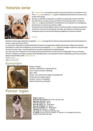 Yorkshire terrier
El Yorkshire Terrier esunade lasmejoresrazaspara lafamilia.Compañero muy
fiel y cariñoso,esunperro activo yque se adaptaperfectamente aunpisoo a un
entornode campo.
Aunque sutamañoes pequeño,sucarácterespropiode un perrovaliente.
Fácil de educar,aunque a vecesremolónala hora del peinado.Esunperro
muy limpio y apenassueltapelo.Sutamañono va enrelacióna suinteligencia,
puestoque esun perromuyastuto y hábil.
Su presenciase haextendidomuchoenlosúltimosaños,siendounaauténtica
estrellaenventasenlastiendasde animales,portodaslasvirtudesque esta
raza posee ypor la enormafacilidadparaadaptarse al entornourbano.
Historia:
Debidoa laheterogeneidadde laorografía escocesa,alolargode la historiase hanproducidovariosaislamientosen
loque a razas caninasse refiere.
La revoluciónindustrial fue totalmente determinante enlaexpansiónyfijaciónde estaraza.Algunosescoceses
trasladaronsu domicilioaInglaterra,enconcretoal condadodeYorkshire,llevaronconsigoasusperros,cuya principal
funcióneracazar ratas, muy abundantesenlaszonasindustrialesenaquellaépoca.
Las razas que más influyeronenlaformacióndel actual Yorkshire Terrierfueronel Clydesdale Terrieryel Paisley
Terrier,cruzadoscon el Skye.Aunque éstosdesaparecieron,susestándaresfueronredactados,porloque se puede
deducirlaascendenciadel Yorkshire Terrier.
Tamaño: pequeno
Peso: Entre 2 Kg y 3.2 Kg
Origen: United Kingdom
Komondor
Origen:Hungría
Tamaño: macho90 cm.Hembra 65 cm.
Peso:machoy hembra 40-80 kg
Ojos:cafés
Orejas:con muchopeloycaídas haciaadelante
Pelaje:grueso,largoyespeso
Carácter: activoe inteligente
Aptitud:pastoreoycompañía
Pointer Ingles
Origen: Inglaterra
Aptitudes particulares: Perro de caza y de caza
Esperanza de vida:13 años
Talla del macho:63 - 69 cm.
Peso del macho: 20 - 30 kg aprox.
Talla de la hembra: 61 - 66 cm.
Peso de la hembra: 18 - 28 kg aprox.
Standard FCI: Número 1 - Grupo 7
Las orejas son se implantan bastante alto. .
Su cabeza es de una anchura media, en relación con la longitud del hocico,
y posee el stop bien marcado
 