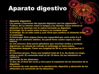 Aparato digestivo
•   Aparato digestivo
•   Las partes y funciones del aparato digestivo son las siguientes:
•   1) Boca. En su interior están la lengua y los dientes. Estos trituran el
•   alimento y lo mezclan con la saliva iniciando su digestión.
•   2) Faringe. Es la unión entre la boca y la cavidad nasal
•   3) Esófago. Es un tubo corto y casi recto que conduce el alimento hasta
•   el estómago.
•   4) Estómago. Este órgano tiene una capacidad que varía entre 6 y 8
•   litros en los animales adultos. Su pared tiene cuatro capas, la capa
    interna
•   es una mucosa. Esta posee glándulas que secretan ácidos y enzimas
•   digestivas. La válvula de entrada al estómago se llama píloro.
•   5) Intestino delgado. Tiene una longitud de 20 m y una capacidad de 9
•   litros.
•   6) Intestino grueso. Tiene una longitud total de 5 m. Se divide en ciego,
•   colon y recto. El contenido total es de 10 litros. En los intestinos se
    realiza la
•   absorción de los alimentos.
•   7) Ano. Es el final del recto y sirve para la expulsión de los desechos de la
•   digestión.
•   La función de este aparato es la aprehensión, digestión y absorción de los
•   alimentos y la excreción de los desechos.
 