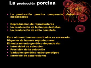 La   producción    porcina

• La producción   porcina   comprende   varias
  modalidades

• Reproducción de reproductores
• La producción de lechones destetos
• La producción de ciclo completo

Para obtener buenos resultados es necesario
Disponer de buenos reproductores
El mejoramiento genético depende de:
• Intensidad de selección
• Precisión de la selección
• Variación genética entre genotipos
• Intervalo de generaciones
 