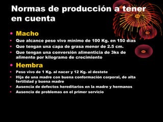 Normas de producción a tener
en cuenta
• Macho
• Que alcance peso vivo mínimo de 100 Kg. en 150 días
• Que tengan una capa de grasa menor de 2.5 cm.
• Que tengan una conversión alimenticia de 3ks de
  alimento por kilogramo de crecimiento

• Hembra
•   Peso vivo de 1 Kg. al nacer y 12 Kg. al destete
•   Hija de una madre con buena conformación corporal, de alta
    fertilidad y buena madre
•   Ausencia de defectos hereditarios en la madre y hermanos
•   Ausencia de problemas en el primer servicio
 