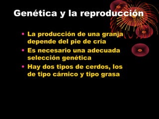 Genética y la reproducción

 • La producción de una granja
   depende del pie de cría
 • Es necesario una adecuada
   selección genética
 • Hay dos tipos de cerdos, los
   de tipo cárnico y tipo grasa
 