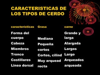 CARACTERISTICAS DE
LOS TIPOS DE CERDO

características   Grasa       carne

Forma del                     Grande y
cuerpo            Mediana     larga
Cabeza            Pequeña     Alargada
Miembros          cortos      Largos
Tronco            Cortos, cilind Largo
Costillares       Muy arquead Arqueados
Linea dorsal      recta       arqueada
 
