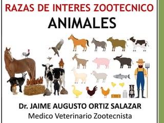 RAZAS DE INTERES ZOOTECNICO
ANIMALES
Dr. JAIME AUGUSTO ORTIZ SALAZAR
Medico Veterinario Zootecnista
 