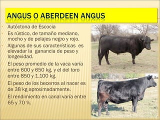 •   Autóctona de Escocia
•   Es rústico, de tamaño mediano,
    mocho y de pelajes negro y rojo.
•   Algunas de sus características es
    elevadar la ganancia de peso y
    longevidad.
   El peso promedio de la vaca varía
    entre 600 y 650 kg, y el del toro
    entre 850 y 1.100 kg.
   El peso de los becerros al nacer es
    de 38 kg aproximadamente.
   El rendimiento en canal varía entre
    65 y 70 %.
 