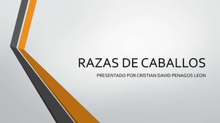RAZAS DE CABALLOS
PRESENTADO POR CRISTIAN DAVID PENAGOS LEON
 