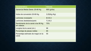Característica Valores
Ganancia Media Diaria: 20-90 Kg. 695 (g/día)
Índice de conversión 20-90 Kg. 3.25(Kg./Kg)
Lechones vivos/parto 8.5-9.3
Lechones destetados/parto 7.2-8.2
Rendimiento de la canal a los 90 Kg.
sin cabeza.
75%
Longitud de la canal (cm.) 96
Porcentaje de piezas nobles 65
Porcentaje estimado de magro en la
canal.
55
 