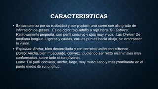 CARACTERISTICAS
• Se caracteriza por su rusticidad y por producir una carne con alto grado de
infiltración de grasas. Es de color rojo ladrillo a rojo claro. Su Cabeza:
Relativamente pequeña, con perfil cóncavo y ojos muy vivos. Las Orejas: De
mediana longitud. Ligeras y caídas, con las puntas hacia abajo, sin entorpecer
la visión.
• Espaldas: Ancha, bien desarrollada y con correcta unión con el tronco.
Dorso: Ancho, bien musculado, convexo, pudiendo ser recto en animales muy
conformados, sobre todo si son jóvenes.
Lomo: De perfil convexo, ancho, largo, muy musculado y mas prominente en el
punto medio de su longitud.
 