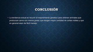 CONCLUSIÓN
• La tendencia actual es recurrir al mejoramiento genético para obtener animales que
produzcan carne con menos grasa, que tengan mayor cantidad de cortes nobles y que
en general sean de fácil manejo.
 