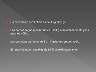  Su conversion alimenticia es de 1 kg: 352 gr.
 Las cerdas llegan a pesar hasta 310 kg aproximadamente y los
machos 400 kg.
 Las camadas varían entre 9 y 11 lechones en promedio.
 El rendimiento en canal es de 81 % aproximadamente.
 