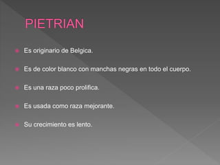  Es originario de Belgica.
 Es de color blanco con manchas negras en todo el cuerpo.
 Es una raza poco prolifica.
 Es usada como raza mejorante.
 Su crecimiento es lento.
 