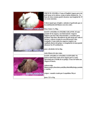FRENCH ANGORA: Como el English Angora pero sin
pelo largo en la cabeza, orejas ni patas delanteras . La
lana de estos conejos puede alcanzar una longitud de 15
cm como máximo.
Colores igual que el inglés y además el quebrado que es
la combinación del blanco con otro color.
Peso: Entre 3 y 5Kg.
GIANT ANGORA O ANGORA GIGANTE: El más
grande de los angora, son básicamente Angoras
Ingleses que han sido seleccionados y cruzados para
producir más lana .Recubierto de pelo largo por todo el
cuerpo y cabeza excepto la cara.Decaracter muy
tranquilo .Como todos los angoras requiere un
cepillado diario del pelaje. La longitud de la lana puede
alcanzar los 25 centímetros.
peso: alrededor de los 6kg.
color:blanco de ojos rojos.
SATIN ANGORA O ANGORA SATINADO: No
genera tanta lana como otros angora pero es muy
apreciado por el brillo de su pelaje. Cruce de Satin con
Angora Francés.
colores:rojo,
blanco,negro,chocolate,azul,lila,chinchilla,beige,castaña
y concha.
origen : canadá creado por Leopoldina Meyer
peso: 3,5 a 4 kg
 