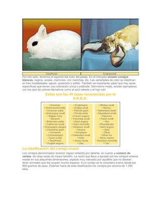 Dwarfhotot Englopsmall
Por otro lado, tenemos el aspecto del color del pelaje. En el mercado existen conejos
blancos, negros, azules, marrones, con manchas, etc. Las variedades de color se clasifican
en tres modalidades: agoutí, quebrado o sólido. También es importante saber que hay razas
específicas que tienen una coloración única o estándar. Del mismo modo, existen ejemplares
con los ojos de colores llamativos como el azul celeste o el rojo rubí.
Estas son las 45 razas reconocidas por la
A.R.B.A.:
• American
• Americanchinchilla
• American sable
• Amfuzzylop small
• Belgian hare
• Beveren
• Britannian petite
• Californian small
• Champagne dargent
• Checkered giant
• Cinnamon
• Cremedargent
• Dutch small
• Dwarfhotot
• English angora
• Englishspot
• Englop small
• Flemish giant
• Florida white
• French angora
• Frenchlop small
• Giant angora
• Giant chinchilla
• Harlequin small
• Havana
• Himalayan
• Hollandlop small
• Hotot
• Jersey wooly
• Lilac
• Minilop small
• Minirex
• Netherland dwarf
• Newzeland small
• Palomino
• Polish small
• Rex
• Rhynelander
• Saint angora
• Satin
• Silver
• Silver fox
• Silver marten
• Standard chinchilla
• Tan
La clasificación del conejo enano
Los conejos denominados 'enanos' siguen estando por delante, en cuanto a número de
ventas, de otras razas de mayor tamaño. La razón que lleva a apostar por los conejos enanos
reside en sus pequeñas dimensiones, aspecto muy valorado por aquéllos que no desean
tener animales que les ocupen mucho espacio. A un conejo se le considera enano desde los
800 gramos de peso. Estarían fuera de esta clasificación los conejos por encima de 1.350
kilos.
 