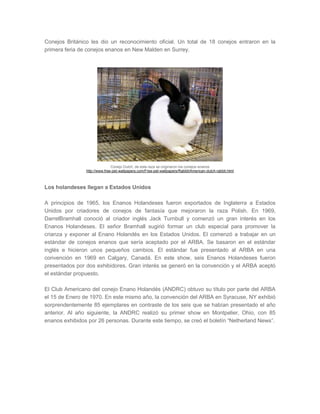 Conejos Británico les dio un reconocimiento oficial. Un total de 18 conejos entraron en la
primera feria de conejos enanos en New Malden en Surrey.
Conejo Dutch, de esta raza se originaron los conejos enanos
http://www.free-pet-wallpapers.com/Free-pet-wallpapers/Rabbit/American-dutch-rabbit.html
Los holandeses llegan a Estados Unidos
A principios de 1965, los Enanos Holandeses fueron exportados de Inglaterra a Estados
Unidos por criadores de conejos de fantasía que mejoraron la raza Polish. En 1969,
DarrelBramhall conoció al criador inglés Jack Turnbull y comenzó un gran interés en los
Enanos Holandeses. El señor Bramhall sugirió formar un club especial para promover la
crianza y exponer al Enano Holandés en los Estados Unidos. El comenzó a trabajar en un
estándar de conejos enanos que sería aceptado por el ARBA. Se basaron en el estándar
inglés e hicieron unos pequeños cambios. El estándar fue presentado al ARBA en una
convención en 1969 en Calgary, Canadá. En este show, seis Enanos Holandeses fueron
presentados por dos exhibidores. Gran interés se generó en la convención y el ARBA aceptó
el estándar propuesto.
El Club Americano del conejo Enano Holandés (ANDRC) obtuvo su título por parte del ARBA
el 15 de Enero de 1970. En este mismo año, la convención del ARBA en Syracuse, NY exhibió
sorprendentemente 85 ejemplares en contraste de los seis que se habían presentado el año
anterior. Al año siguiente, la ANDRC realizó su primer show en Montpelier, Ohio, con 85
enanos exhibidos por 26 personas. Durante este tiempo, se creó el boletín “Netherland News”.
 