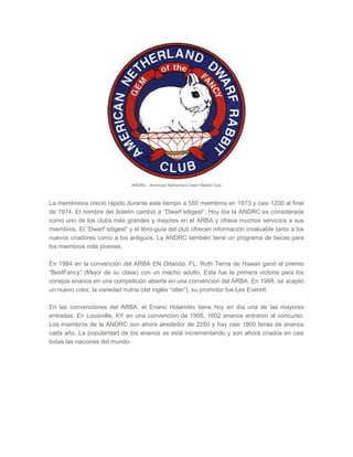 ANDRC - American Netherland Dwarf Rabbit Club
La membresía creció rápido durante este tiempo a 550 miembros en 1973 y casi 1200 al final
de 1974. El nombre del boletín cambió a “Dwarf´sdigest”. Hoy día la ANDRC es considerada
como uno de los clubs más grandes y mejores en el ARBA y ofrece muchos servicios a sus
miembros. El “Dwarf´sdigest” y el libro-guía del club ofrecen información invaluable tanto a los
nuevos criadores como a los antiguos. La ANDRC también tiene un programa de becas para
los miembros más jóvenes.
En 1984 en la convención del ARBA EN Orlando, FL, Ruth Terna de Hawaii ganó el premio
“BestFancy” (Mejor de su clase) con un macho adulto. Esta fue la primera victoria para los
conejos enanos en una competición abierta en una convención del ARBA. En 1988, se aceptó
un nuevo color, la variedad nutria (del inglés “otter”), su promotor fue Les Everett.
En las convenciones del ARBA, el Enano Holandés tiene hoy en día una de las mayores
entradas. En Louisville, KY en una convención de 1995, 1602 enanos entraron al concurso.
Los miembros de la ANDRC son ahora alrededor de 2250 y hay casi 1800 ferias de enanos
cada año. La popularidad de los enanos se está incrementando y son ahora criados en casi
todas las naciones del mundo.
 