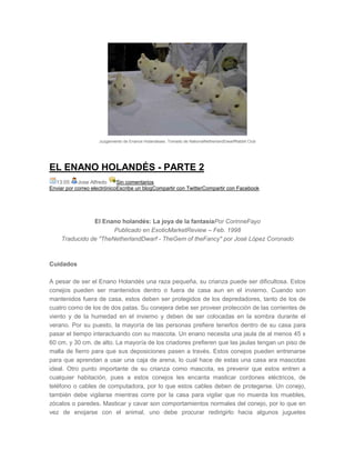 Juzgamiento de Enanos Holandeses. Tomado de NationalNetherlandDwarfRabbit Club
EL ENANO HOLANDÉS - PARTE 2
13:05 Jose Alfredo Sin comentarios
Enviar por correo electrónicoEscribe un blogCompartir con TwitterCompartir con Facebook
El Enano holandés: La joya de la fantasíaPor CorinneFayo
Publicado en ExoticMarketReview – Feb. 1998
Traducido de "TheNetherlandDwarf - TheGem of theFancy" por José López Coronado
Cuidados
A pesar de ser el Enano Holandés una raza pequeña, su crianza puede ser dificultosa. Estos
conejos pueden ser mantenidos dentro o fuera de casa aun en el invierno. Cuando son
mantenidos fuera de casa, estos deben ser protegidos de los depredadores, tanto de los de
cuatro como de los de dos patas. Su conejera debe ser proveer protección de las corrientes de
viento y de la humedad en el invierno y deben de ser colocadas en la sombra durante el
verano. Por su puesto, la mayoría de las personas prefiere tenerlos dentro de su casa para
pasar el tiempo interactuando con su mascota. Un enano necesita una jaula de al menos 45 x
60 cm. y 30 cm. de alto. La mayoría de los criadores prefieren que las jaulas tengan un piso de
malla de fierro para que sus deposiciones pasen a través. Estos conejos pueden entrenarse
para que aprendan a usar una caja de arena, lo cual hace de estas una casa ara mascotas
ideal. Otro punto importante de su crianza como mascota, es prevenir que estos entren a
cualquier habitación, pues a estos conejos les encanta masticar cordones eléctricos, de
teléfono o cables de computadora, por lo que estos cables deben de protegerse. Un conejo,
también debe vigilarse mientras corre por la casa para vigilar que no muerda los muebles,
zócalos o paredes. Masticar y cavar son comportamientos normales del conejo, por lo que en
vez de enojarse con el animal, uno debe procurar redirigirlo hacia algunos juguetes
 
