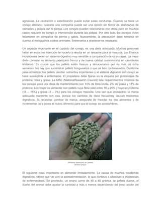 agresivas. La castración o esterilización puede evitar estas conductas. Cuando se tiene un
conejo alterado, buscarle una compañía puede ser una opción sin temor de abandonos de
camadas y peleas con la pareja. Los conejos pueden relacionarse con otros, pero en muchos
casos requiere de tiempo e intervención durante las peleas. Por otro lado, los conejos viven
felizmente en compañía de perros y gatos. Nuevamente, la precaución debe tomarse en
cuenta al introducirlos a otros animales. Entrenarlos a obedecer es necesario.
Un aspecto importante en el cuidado del conejo, es una dieta adecuada. Muchas personas
fallan en estos sin intención de hacerlo y resulta en un desastre para la mascota. Los Enanos
Holandeses tienen un sistema digestivo muy sensible a comparación de otras razas. La mejor
dieta consiste en alimento peletizado fresco y de buena calidad suministrado en cantidades
limitadas. Es crucial que los pellets estén frescos y almacenados por no más de ocho
semanas. No hay que suministrar pellets hongueados o que se han contaminados. Conforme
pasa el tiempo, los pellets pierden nutrientes importantes y el sistema digestivo del conejo se
hace susceptible a enfermarse. El propietario debe fijarse en la etiqueta por porcentajes de
proteína, fibra y grasa. La NRC (NationalResearch Council) lista requerimientos mínimos de
los conejos para una dieta de mantenimiento con 14% de fibra cruda, 2% de grasa y 12% de
proteína. Los mejor es alimentar con pellets cuya fibra está entre 18 y 20% y bajo en proteína
(14 – 15%) y grasa (2 – 3%) para los conejos mascota. Una vez que encuentres la marca
adecuada mantente con esa, porque los cambios de dieta frecuentes causan trastornos
digestivos. Si necesitas cambiar de marca, asegúrate de mezclar los dos alimentos y de
incrementar de a pocos el nuevo alimento para que el conejo se acostumbres.
Alimento peletizado de calidad
Archivo propio.
El siguiente paso importante es alimentar limitadamente. La causa de muchos problemas
digestivos, tienen que ver con la sobrealimentación, lo que conlleva a obesidad e incidencias
de enfermedades. En promedio, un enano come de 50 a 85 gramos de pellets diarios, el
dueño del animal debe ajustar la cantidad a más o menos dependiendo del peso adulto del
 