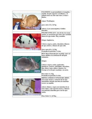PALOMINO: su personalidad es tranquila y
amable. El pelo superior es brillante, y el
subpelo tiene un color más claro, crema o
blanco.
origen: Washington
peso: entre 3,5 y 4,5 kg
colores: Lynx (anaranjado) y Golden
(dorado).
POLISH O POLACO : otra de las tres razas
enanas, se caracteriza por tener una variedad
blanca de ojos azules. Muy sociables.
Origen: Inglaterra.
Colores: negros, azules, chocolates, blancos
de ojos celestes y blancos de ojos rubí.
Peso: entre 0,5 y 1,5 Kg
Promedio de parición: 3 crías.
REX: Raza destacada por su pelaje, suave al
tacto, debido a la existencia de sub-pelo
solamente.
Origen:
Colores: negros, azules, quebrados,
himalayos, castores, chinchillas, chocolates,
lilas, linces, rojos, sables y blancos. En
Europa se lo cría por su pelaje y su carne.
Peso entre 3 y 4 kg.
Promedio de parición: 6 crías.
RHINELANDER O CONEJO DEL RHIN:
con orejas, hocico y contorno de los ojos
manchados.Además una linea de manchas
recorre su espalda.
colores: blanco y negro con manchas de un
tono rojizo y ojos marrón oscuro, y blancos
con manchas amarillas pero con los ojos
azules.
Peso: Entre 3 y 4,5 Kg .
 
