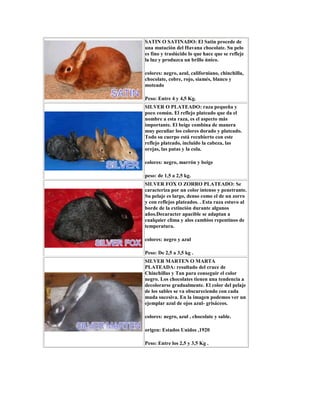 SATIN O SATINADO: El Satin procede de
una mutación del Havana chocolate. Su pelo
es fino y traslúcido lo que hace que se refleje
la luz y produzca un brillo único.
colores: negro, azul, californiano, chinchilla,
chocolate, cobre, rojo, siamés, blanco y
moteado
Peso: Entre 4 y 4,5 Kg.
SILVER O PLATEADO: raza pequeña y
poco común. El reflejo plateado que da el
nombre a esta raza, es el aspecto más
importante. El beige combina de manera
muy peculiar los colores dorado y plateado.
Todo su cuerpo está recubierto con este
reflejo plateado, incluido la cabeza, las
orejas, las patas y la cola.
colores: negro, marrón y beige
peso: de 1,5 a 2,5 kg.
SILVER FOX O ZORRO PLATEADO: Se
caracteriza por un color intenso y penetrante.
Su pelaje es largo, denso como el de un zorro
y con reflejos plateados. . Esta raza estuvo al
borde de la extinción durante algunos
años.Decaracter apacible se adaptan a
cualquier clima y alos cambios repentinos de
temperatura.
colores: negro y azul
Peso: De 2,5 a 3,5 kg .
SILVER MARTEN O MARTA
PLATEADA: resultado del cruce de
Chinchillas y Tan para conseguir el color
negro. Los chocolates tienen una tendencia a
decolorarse gradualmente. El color del pelaje
de los sables se va obscureciendo con cada
muda sucesiva. En la imagen podemos ver un
ejemplar azul de ojos azul- grisáceos.
colores: negro, azul , chocolate y sable.
origen: Estados Unidos ,1920
Peso: Entre los 2,5 y 3,5 Kg .
 